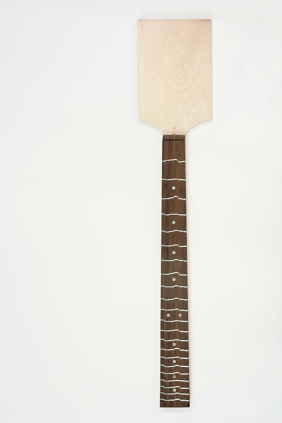 TT-necks with Paddle headstock and cover plates now available